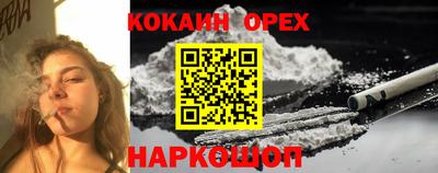 ECSTASY Новозыбков