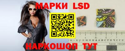 ECSTASY Новозыбков