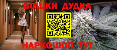 шишки Новокубанск