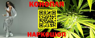 альфа пвп Новодвинск