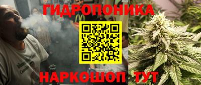 шишки Новокубанск