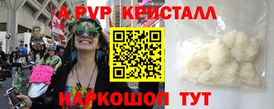 ECSTASY Новозыбков