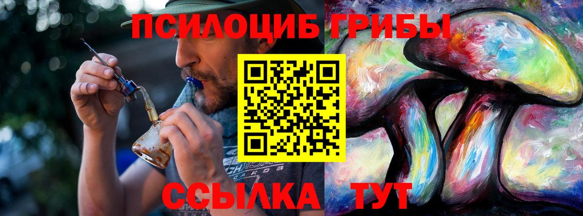 Галлюциногенные грибы прущие грибы Славгород