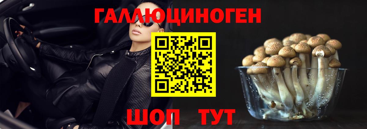Славгород  Галлюциногенные грибы ЛСД  Вход с VPN  Галлюциногенные грибы прущие грибы 